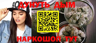прущие крисы Камышлов