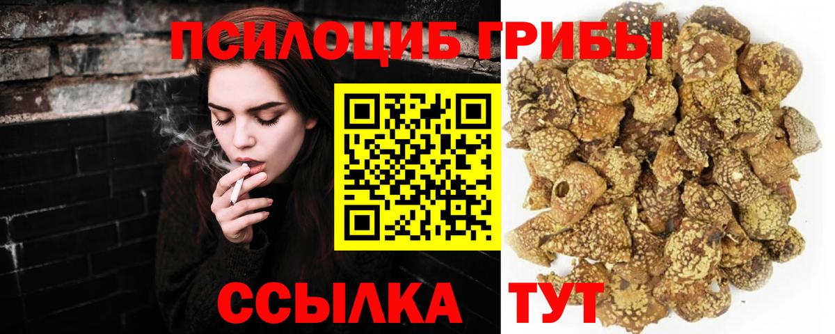 Галлюциногенные грибы GOLDEN TEACHER Волоколамск