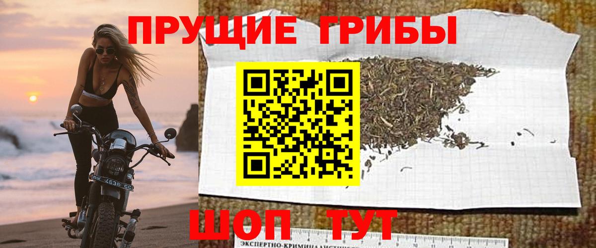 Волоколамск  Псилоцибиновые грибы MAGIC MUSHROOMS  Вход с VPN  Галлюциногенные грибы мицелий 